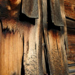 Dřevostavba – výhody a nevýhody stavby ze dřeva